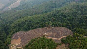 montanha destruído de humano para cultivar plantas. aéreo Visão do montanhas coberto dentro neblina a partir de queimando florestas. áreas com denso smog e coberto com pm2.5. ar poluição e ecológico problemas foto