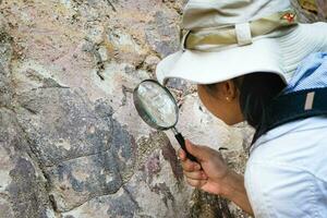 geóloga feminina usando uma lupa examina a natureza, analisando rochas ou seixos. pesquisadores coletam amostras de materiais biológicos. pesquisas ambientais e ecológicas. foto