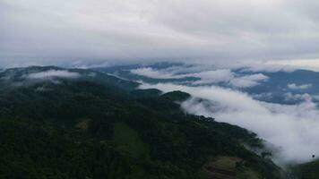 aéreo Visão do tropical floresta com névoa dentro a manhã. topo Visão a partir de zangão do lindo montanha tropical floresta durante inverno dentro tailândia. natural panorama fundo. foto