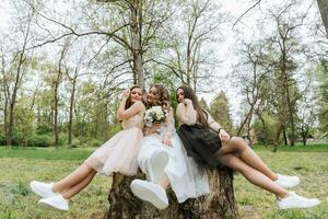 Casamento andar dentro a floresta. noivas e seus amigos pose contra a fundo do a floresta. uma ampla grupo do pessoas estão tendo Diversão às seus amigos' Casamento foto