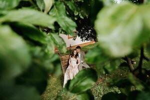 retrato do uma noiva e noivo dentro amor em uma balanço a partir de acima através a folhas do uma árvore foto