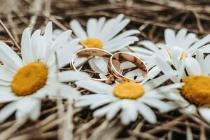 dourado Casamento argolas em a feno dentro a flores do margaridas foto