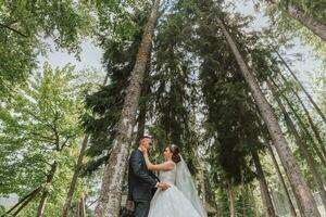 uma Casamento casal é desfrutando a melhor dia do seus vidas contra a pano de fundo do alta árvores retrato do noivas dentro amor dentro natureza foto