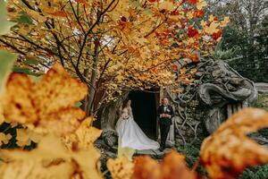 noiva e noivo dentro outono floresta, Casamento cerimônia, frente visualizar. noivo e noiva em a fundo do amarelado outono folhas. a foto estava ocupado através a amarelecimento folhas do a árvores