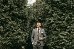 bonito noivo dentro terno e gravata em pé ao ar livre dentro parque. Casamento retrato. uma homem dentro uma clássico terno foto