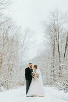 lindo Casamento casal em pé dentro inverno Nevado floresta, mulher dentro branco vestir e vison pele casaco, barbudo homem dentro Preto casaco foto