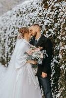 retrato do feliz recém-casados em a fundo do coberto de neve árvores a noivo abraços a noiva dentro a inverno parque. sorridente noiva dentro Casamento vestir e branco poncho. a noivo é vestido dentro uma Preto casaco. foto