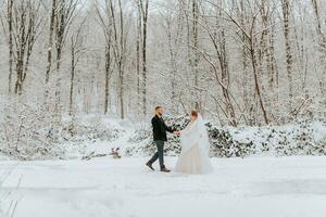 lindo Casamento casal caminhando dentro inverno Nevado floresta, mulher dentro branco vestir e poncho, barbudo homem dentro Preto casaco foto