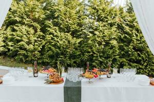 uma bufê mesa do fruta, champanhe e frio bebidas organizado dentro natureza em uma Casamento dia ou para uma aniversário foto