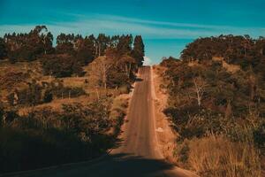 rural estrada dentro a montanhas com árvores e azul céu - retro vintage efeito foto