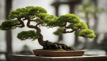 ai gerado bonsai árvore dentro uma Panela em uma mesa foto