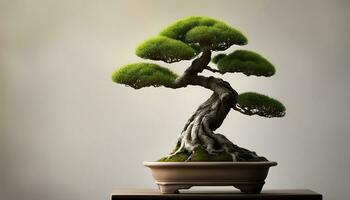 ai gerado bonsai árvore dentro uma Panela em uma mesa foto