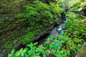 Parque Estadual Watkins Glen foto