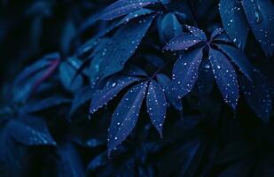 ai gerado Sombrio azul plantar com água gotas em isto foto