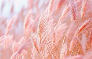 ai gerado dentro fechar acima tiro do a Rosa gramíneas foto