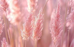 ai gerado dentro fechar acima tiro do a Rosa gramíneas foto