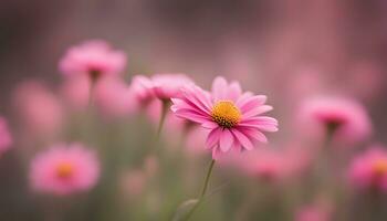 ai gerado Rosa flores dentro uma campo com borrado fundo foto