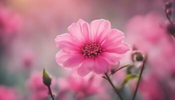 ai gerado Rosa flor dentro a campo com borrado fundo foto