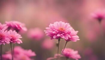 ai gerado Rosa flores estão mostrando dentro uma campo foto