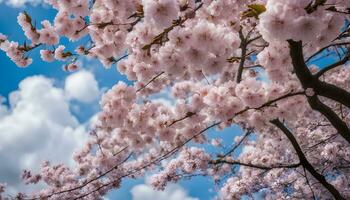 ai gerado cereja flores em uma árvore dentro frente do uma azul céu foto