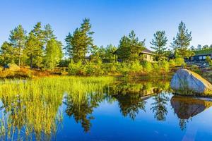 nascer do sol da manhã com lago rio reflexão natureza paisagem nissedal noruega. foto