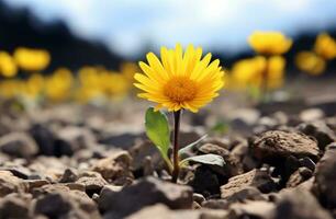 ai gerado flores papel de parede em paisagens foto