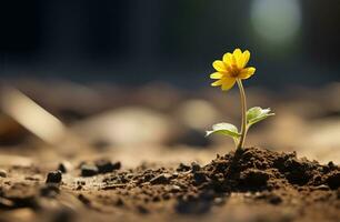 ai gerado uma pequeno amarelo flor este é crescendo dentro a sujeira foto