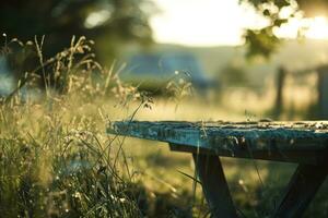 ai gerado uma mesa é sentado em a lado de fora do a aberto campo foto