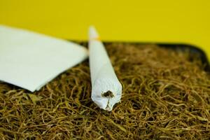 mão enrolado cigarro feito à mão e tabaco em amarelo fundo foto