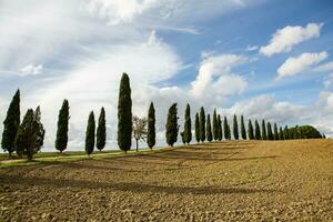 famoso Toscana panorama com curvado estrada e cipreste, Itália, Europa. rural fazenda, cipreste árvores, verde campo, luz solar e nuvem. foto