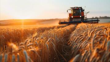 ai gerado uma combinar colheitadeira é trabalhando em uma trigo campo às pôr do sol. generativo ai foto