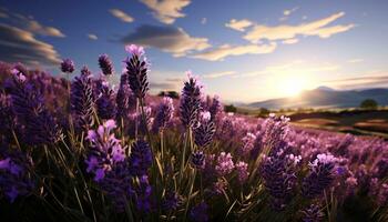 ai gerado roxa flor flores dentro Prado, natureza beleza às pôr do sol gerado de ai foto