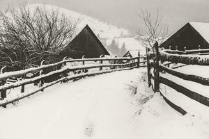 panorama do a Vila dentro a inverno montanhas coberto com neve. inverno panorama. a conceito do liberdade e solidão. foto