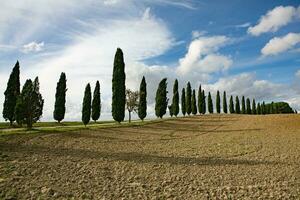 famoso Toscana panorama com curvado estrada e cipreste, Itália, Europa. rural fazenda, cipreste árvores, verde campo, luz solar e nuvem. foto
