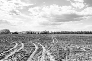 fotografia sobre o tema grande campo de fazenda vazio para colheita orgânica foto