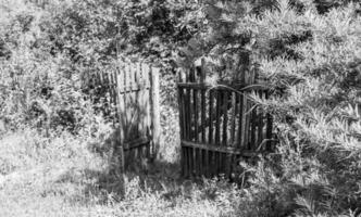 lindo portão antigo de casa abandonada na aldeia no fundo natural foto