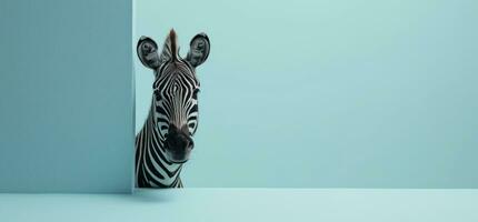 ai gerado uma zebra espreitar Fora do uma azul e Rosa parede foto