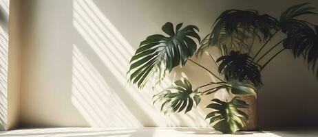 ai gerado monstera folha em bege pastel parede com janela luz sombras, 3d Renderização Cosmético produtos exibição brincar foto