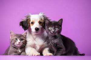 ai gerado cachorro e gatinhos em roxa fundo foto