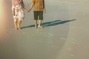 traseiro Visão do uma casal caminhando mão dentro mão em a litoral foto