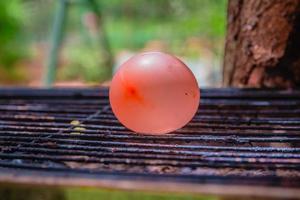 balão cheio de água colocado em uma grelha quente foto