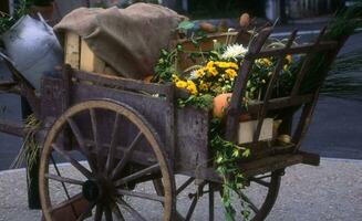 uma carrinho com flores e plantas foto