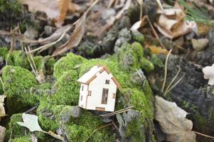 modelo de uma pequena casa de madeira na floresta foto