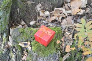 pequena caixa de presente vermelha na floresta foto