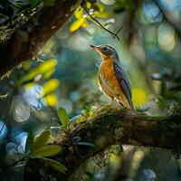 ai gerado fotografia do uma lindo colorida pássaro dentro a Amazonas floresta tropical dentro Brasil foto