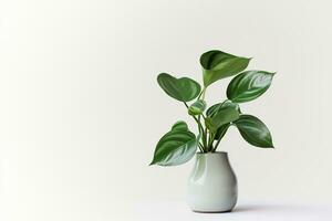 ai gerado verde folha plantar em vaso dentro branco fundo foto