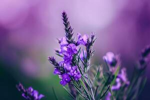 ai gerado uma fechar acima do uma roxa flor com embaçado fundo foto