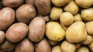 vista de cima diferentes tipos de batatas foto