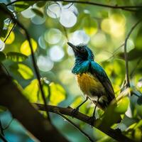ai gerado fotografia do uma lindo colorida pássaro dentro a Amazonas floresta tropical dentro Brasil foto