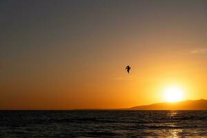 pelicano vôo dentro a pôr do sol sobre a oceano de praia foto